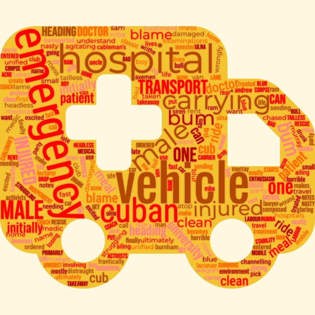 1ACCWC #574 – AMBULANCE – Results